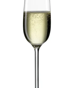 6 verres champagne Clara