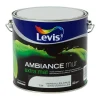 Ambiance mur gris versailles 2,5 L