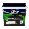 Ambiance mur mat beige ivoir 5 L