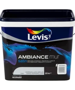 Ambiance mur satin versaille gris 5 L
