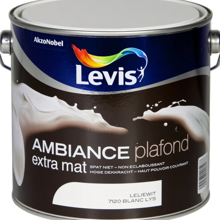 Ambiance plafond blanc lys 2,5 l