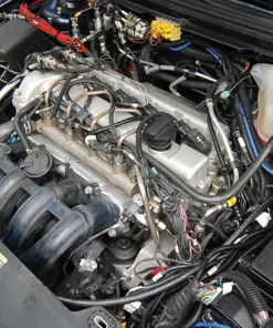 Anti-martre 12 V