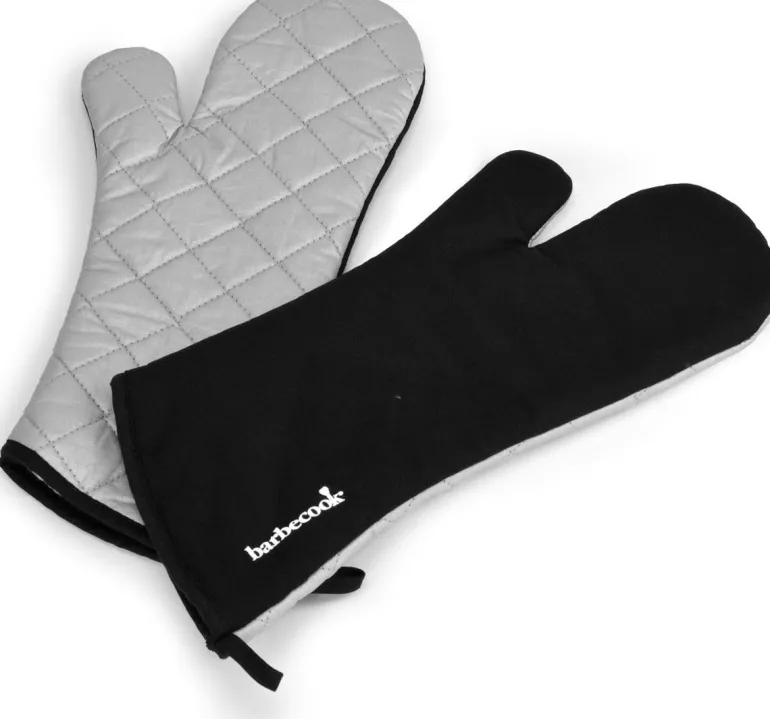 Barbecook BBQ Loewy 50 + 6kg charbon de bois + gants