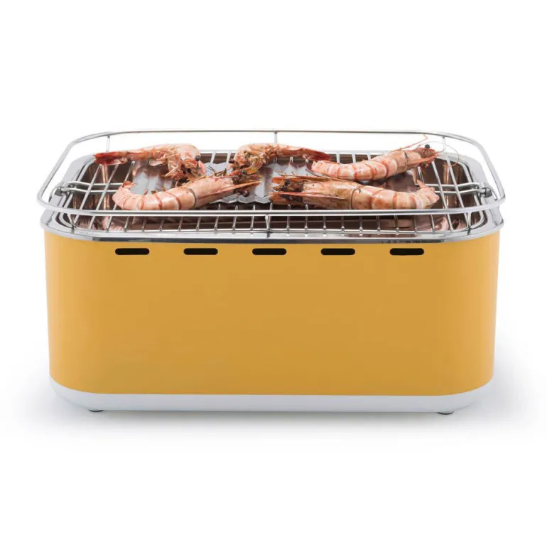 Barbecue de table Carlo + sac de transport