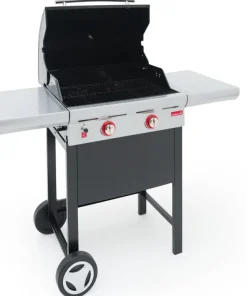 BCOOK SPRING 2002 BBQ GAZ