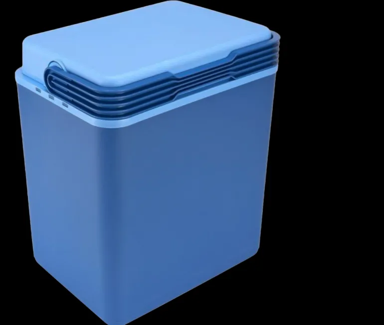 Box frigo bleu 32 L