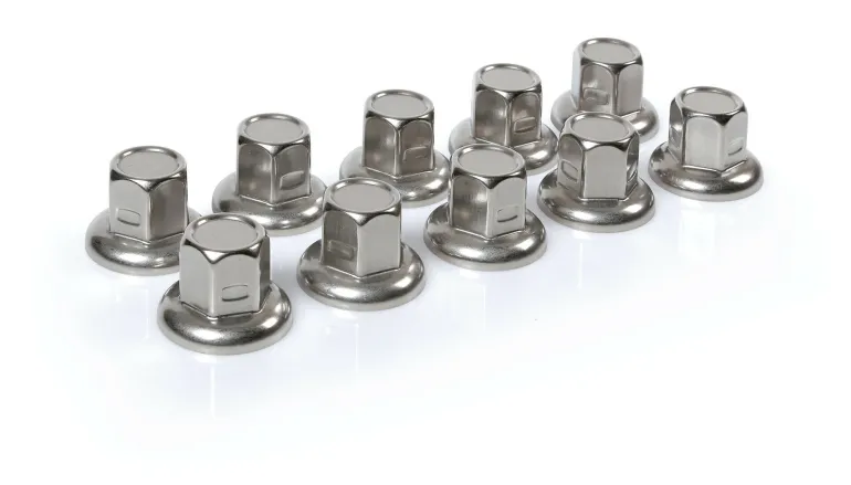Cache Ecrous RVS x10 32mm