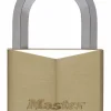 Cadenas 50 mm 9 mm diamètre 6 pins