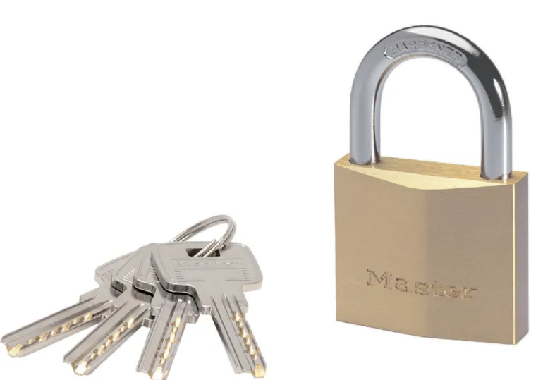 Cadenas 50 mm 8 mm diamètre 6 pins