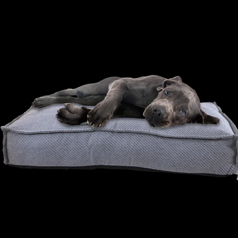 Coussin Majestic 75x50x12 cm