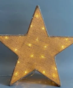 Etoile blanc chaud LED 30 cm