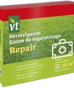 Gazon de regarnissage 600 g