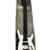 guitare Bob