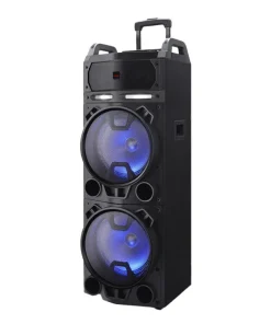 Haut-parleur sur chariot avec 2x microphone sans fil 800W