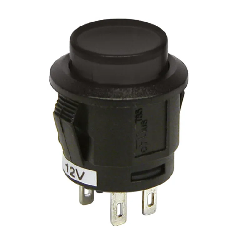 Interrupteur à pression noir 12 V