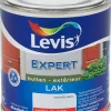Laque expert high gloss 250 ml
