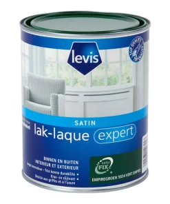 Laque expert satin 5834 1 L