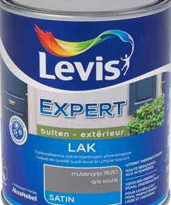 Laque expert satin gris souris 1 L