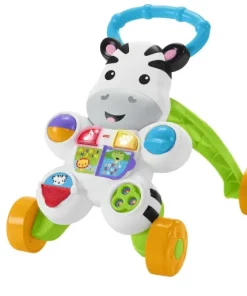 Loop met mij zebra NL