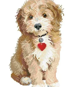 Lovely Boy Diamond Dotz