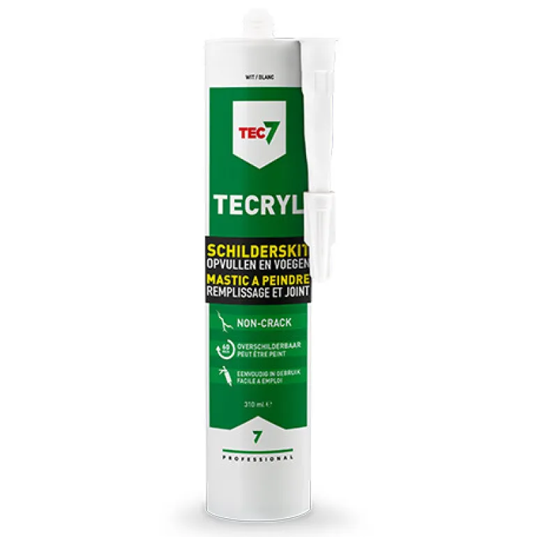 Mastic à peindre Tecryl Blanc 310 ml