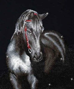 Midnight Stallion Diamond Dotz