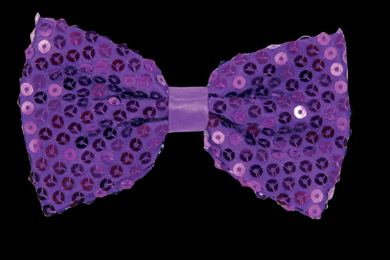 Noeud paillette, purple