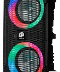 Party speaker 2x6" woofer