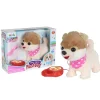 Petit chien Dex
