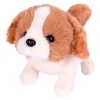 Petit Chien Sammy