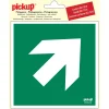 Pictogramme flèche 45° 15 x 15 cm