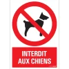 Pictogramme interdit aux chiens 23 x 33 cm