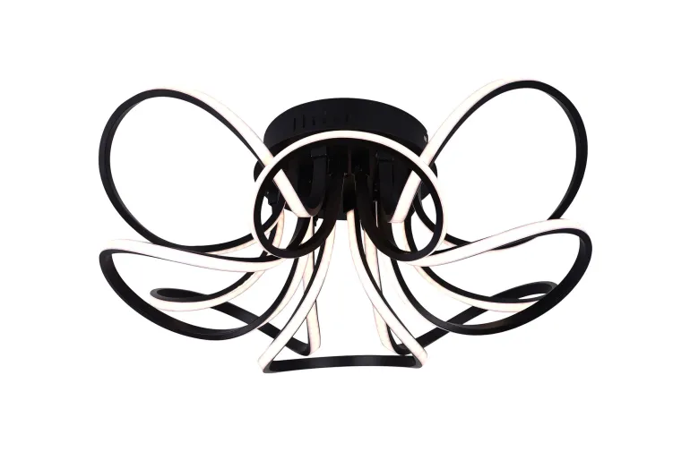 Plafonnier Bergenia LED 30W