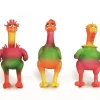 Poulet latex fantaisie