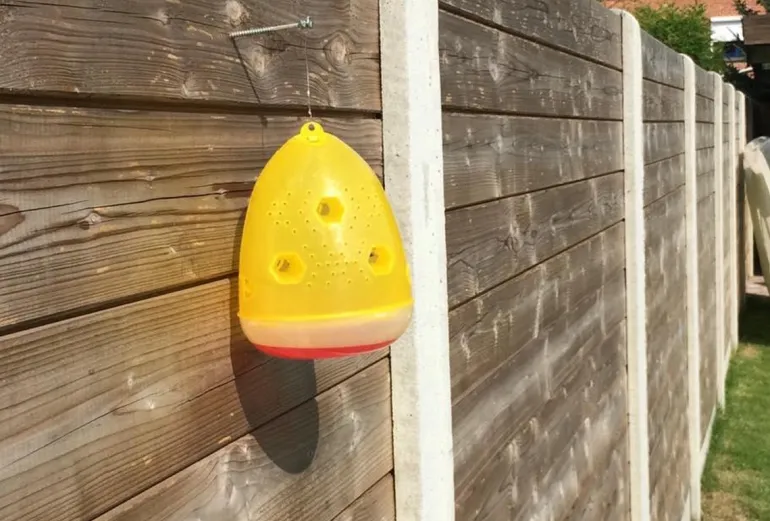 Protecta Piège à guêpes