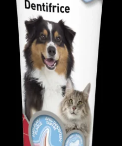 Pâte dentifrice 100 g