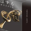 Puzzle Cast Enigma