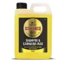 Shampooing et carnauba wax 2 l