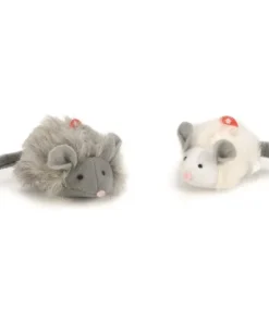 Souris foxy