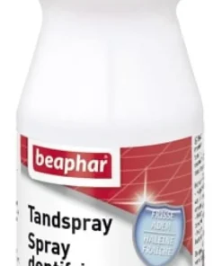 Spray Dentifrice 150 ml