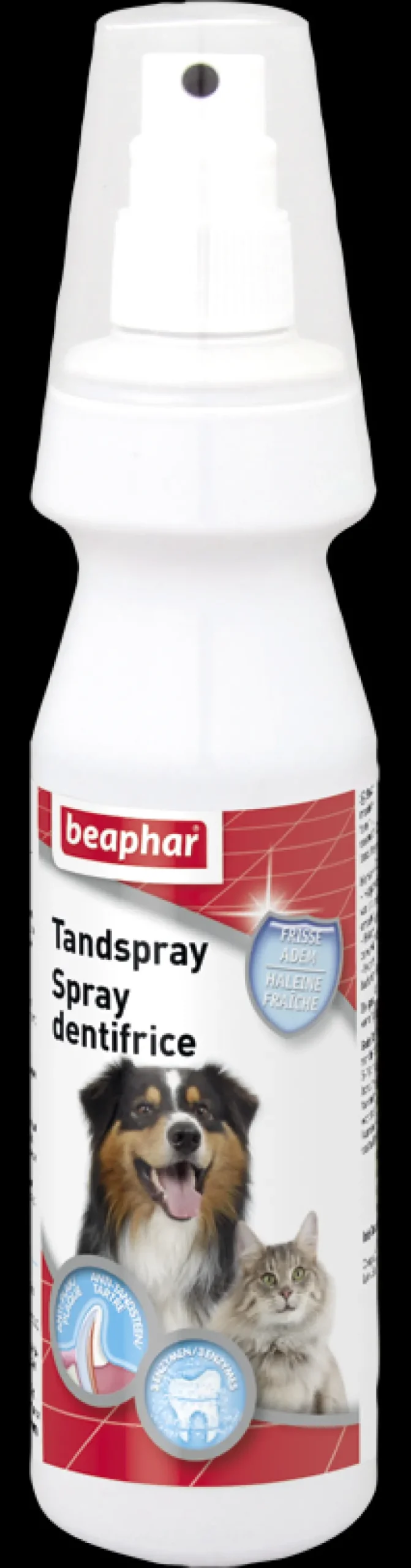 Spray Dentifrice 150 ml