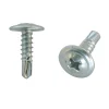 Vis autotaradeuse argent Ø4 mm 100 pièces